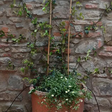 Casa Il Patio Floransa