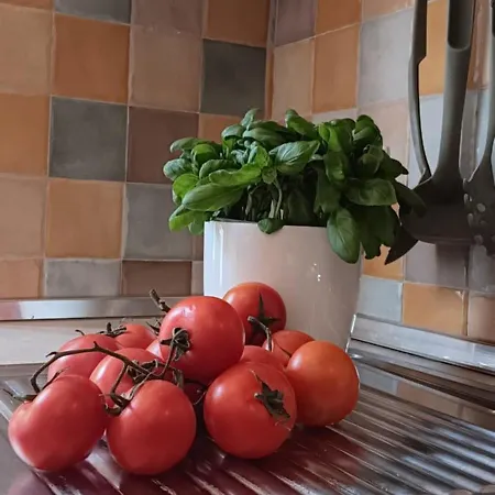 Daire Casa Il Patio Floransa