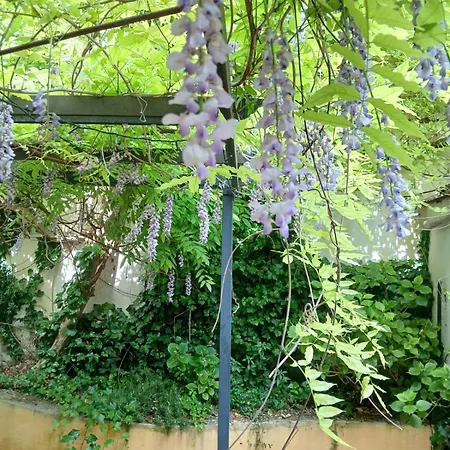 Apartamento Casa Il Patio