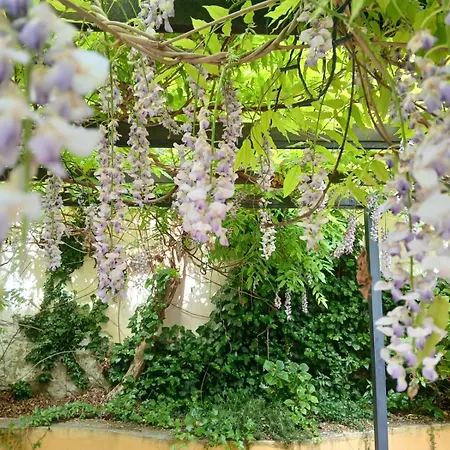 Casa Il Patio
