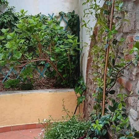 Apartment Casa Il Patio Florence
