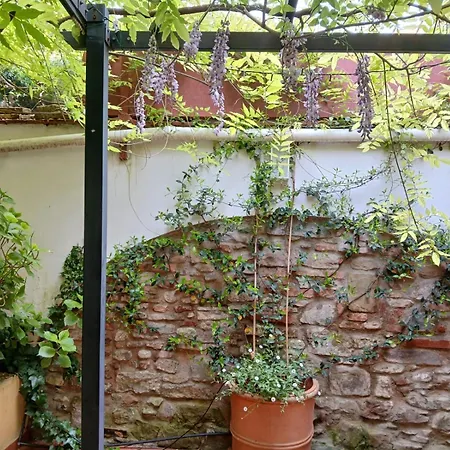 Casa Il Patio * フィレンツェ