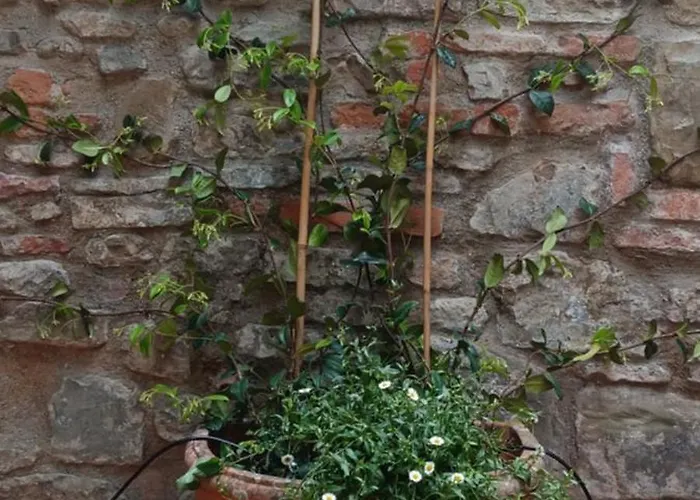 Casa Il Patio Florencja