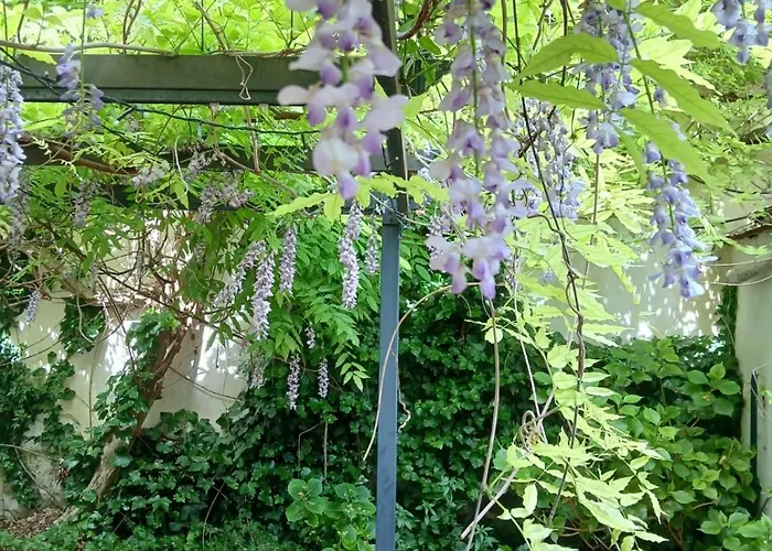 Apartament Casa Il Patio