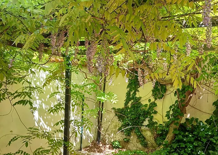 아파트 Casa Il Patio 피렌체