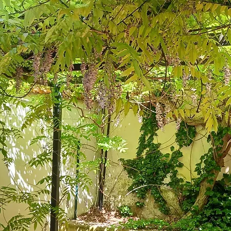 Apartman Casa Il Patio Firenze